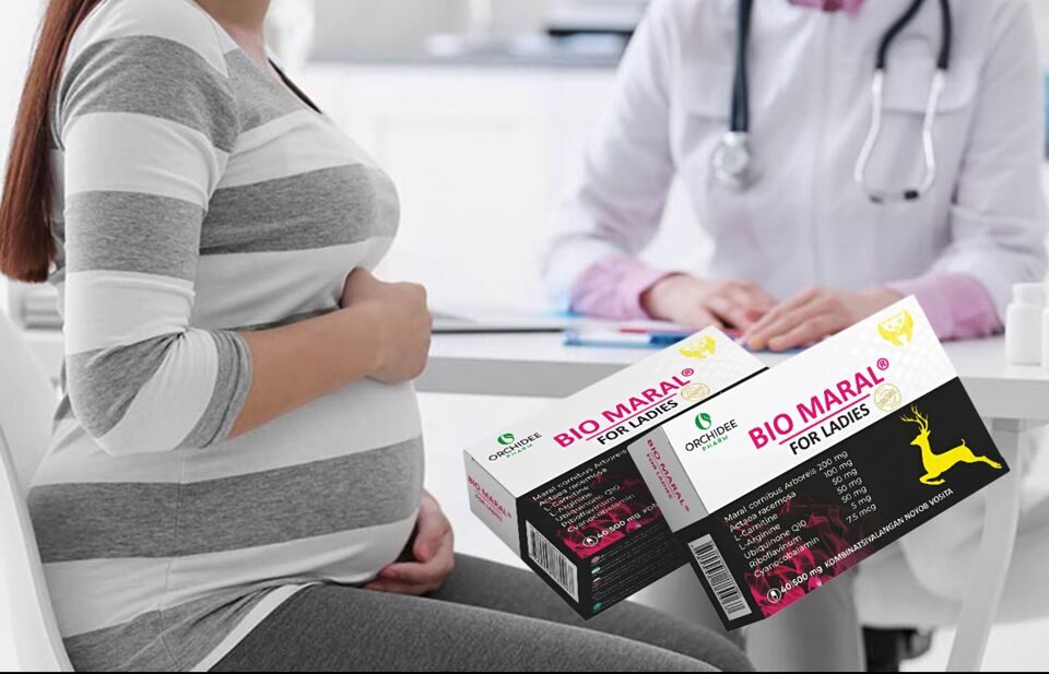 Web_Photo_Editor (2)