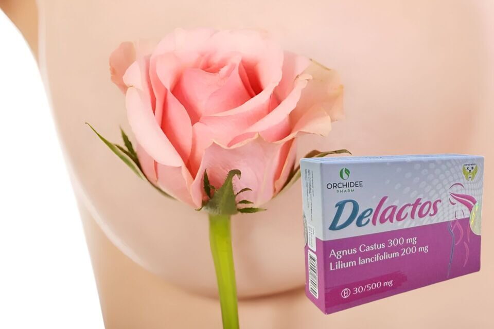 Untitled Project (1)